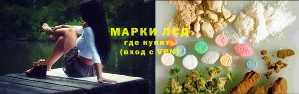 стафф Волосово