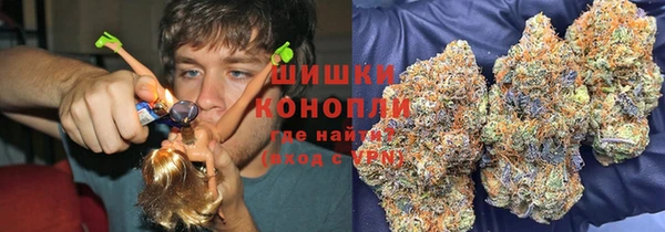 mdpv Волоколамск