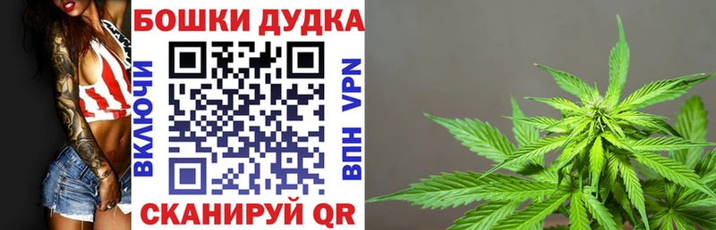 Конопля конопля  маркетплейс клад  Пикалёво 